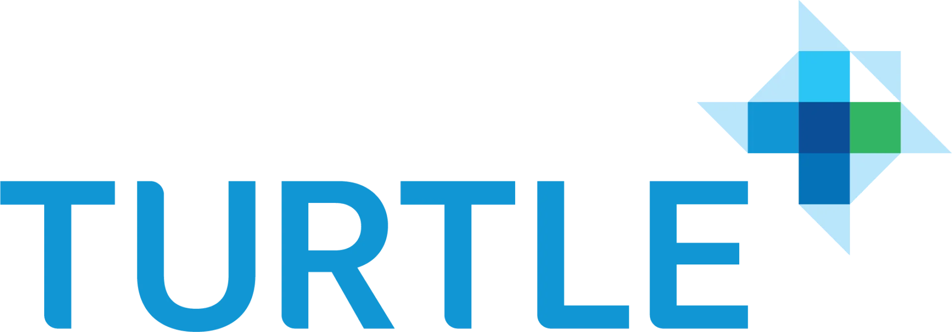 Turtle logo